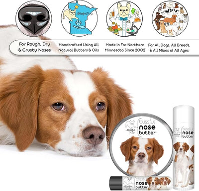 The Blissful Dog Brittany Spaniel Nose Butter for Dry, Cracked Skin, Lick-Safe Dog Nose Balm with Moisturizing Shea Butter, Almond, Olive, and Essential Oils, Pet Supplies, Uncented, 8 oz.