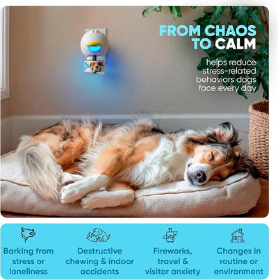 STUNICK CB1 Dog Calming Diffuser, Calming Pheromones, 60 Day Supply, 3 Diffuser and 6 Refills, Helps Reduce Stress, Separation, Pee Accidents, Barking, & Destructive Behaviors