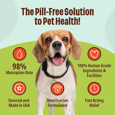 Licks Zen Calming Aid - Calm Behavior & Stress Support for Dogs & Cats - L-Theanine, Chamomile, Ashwagandha & Tryptophan - Pill-Free Gel Packets - Chicken Flavor - 15 Packets