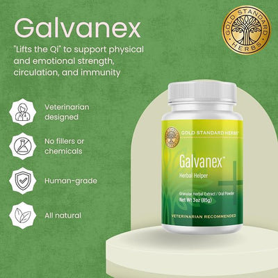 Galvanex Increase Qi to Support Physical & Emotional Strength, Circulation, and Immunity for Dogs by Gold Standard Herbs, All Natural Herbal Powder