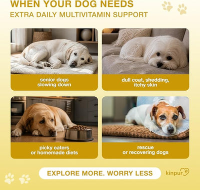 20-in-1 Dog Multivitamin Chews – Dog Supplement for Immunity, Digestion, Joint, Vision, Brain & Heart Support – Multivitamin Soft Chews for Dogs with MSM & Glucosamine, 180 Bites
