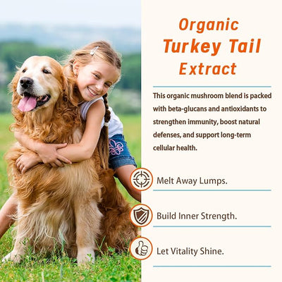 Natural Lipoma Support for Dogs, 7 Organic Mushroom Blend with Beta-Glucans, Boosts Immunity, 1500mg High Potency Turkey Tail, Reishi, Lion's Mane Helps Reduce Lumps & Bumps, 90 Chicken Soft Chews