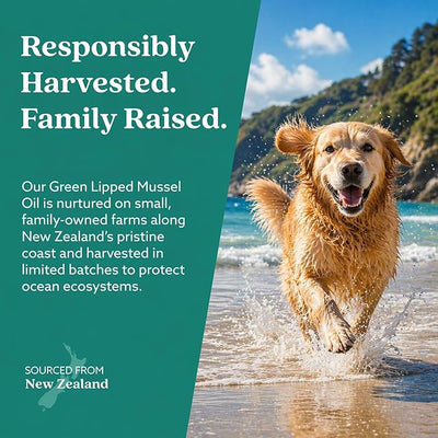 GLX3 Green Lipped Mussel Oil for Dogs | Joint & Hip Comfort Omega-3 Supplement | Ideal for All Dog Breeds and Ages | 2 Month Supply, 120 Gel Capsules w/Natural Ingredients