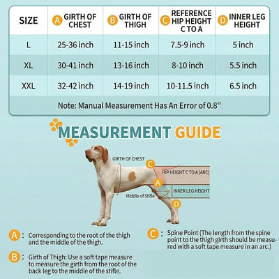 Dog Knee Braces for Torn ACL Hind Leg, Adjustable Dog Leg Braces for Back Leg with 4 Stabilizers for Luxating Patella Relieves Ligament Injury and Joint Pains