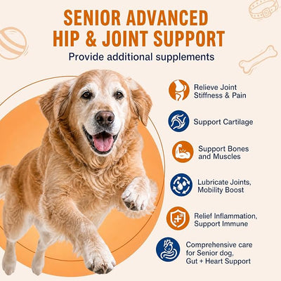 Senior Dog Hip & Joint Supplement Chews, 12-in-1 Advanced Mobility Support with UC-II Collagen, Glucosamine, Chondroitin & ASU, Chicken Salmon Soft Chews for Small Medium Large Dog, 60 Count