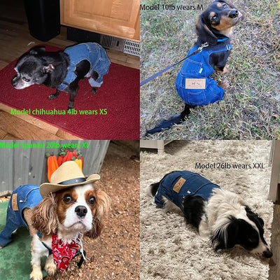 Pet Clothes Elastic Jeans Overalls Comfortable Washed Denim Cute Style for Puppy (S)