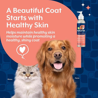 NaturVet – Salmon Oil Skin & Coat Plus Omegas – Supports Healthy Skin & Glossy Coat – Source of Omega-3 & 6 Fatty Acids – for Dogs & Cats (8.75 oz Oil)