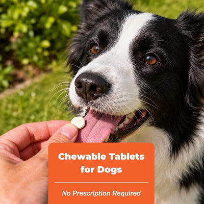 Trio Dewormer for Dogs, Tablets for Tapeworms, Roundworms & Hookworms, Pyrantel Pamoate/Praziquantel, for Medium and Large Dogs Over 25 lbs, 50 Tablets