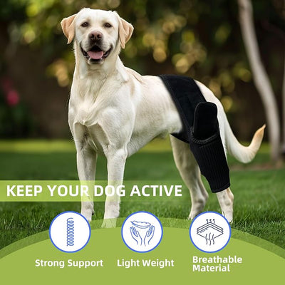Dog Hip Brace, Knee & Leg Support Brace for ACL Recovery, Ligament Injury - Breathable & Adjustable Dog Leg Brace for Senior Dogs, Post-Surgery Rehabilitation & Mobility Aid(Size M)