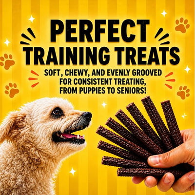 Beef and Sweet Potato Dog Treats, Soft Chicken Jerky for Small and Large Breeds, Naturally Healthy, Made in The USA (16 oz)
