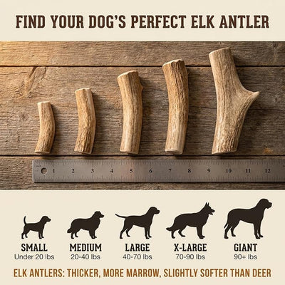 Heartland Elk Antlers for Dogs - Daily Dental Care Chews for Aggressive Chewers to Reduce Plaque & Prevent Destructive Behavior (Splinter Free, Split, 4", Small, 2-Pack, Grade A, USA Made)