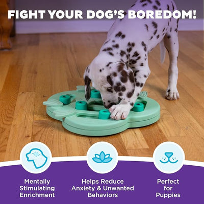 Outward Hound by Nina Ottosson Puppy Treat Puzzle Enrichment Dog Toy