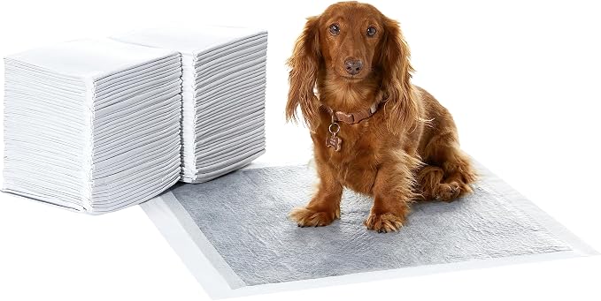 Amazon Basics Carbon Odor Control Dog and Puppy Pee Pads, 5-Layer Leak-Proof Super Absorbent, Quick-Dry Surface for Potty Training, Regular Size 22"x22", Gray, 120 Count