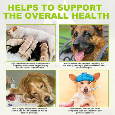 Milk Thistle for Dogs, Dog Liver Support Drops - Dog Milk Thistle Helps Dog Liver Detox, Pet Supplement Treats with Salmon Oil, Curcumin C3 Complex and Omega 3 EPA & DHA, Bacon Flavor - 2 fl.oz