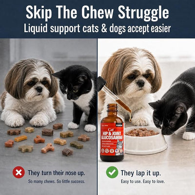 Furrow Liquid Glucosamine for Cats and Small Dogs — Hip & Joint Supplement with MSM, Chondroitin, Taurine & Hyaluronic Acid, Chicken Gravy Flavor — Joint Support for Pets Under 22 lbs