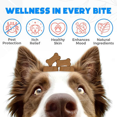 Flea and Tick Prevention Chewables for Dogs - 150 Chews - Beef Flavor - Vet-Approved Oral Treatment for Tick & Flea Control