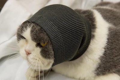 Cat Snood Ear Muffs,Calm Head Covers Blow Drying-Anxiety & Stress Relief - Cat Ear Wrap Injury Grey S