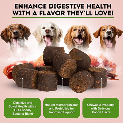 Only Natural Pet Probiotic Dog and Cat Supplement - Digestive & Gut Health Enzyme Formula, Puppy & Canine Digestive Chews, Best for Stomach Relief & Gas Aid - Soft Chews, 60 Count.