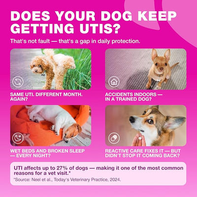 Dog UTI Treatment - Dog Cranberry Supplement for Bladder & Kidney Health, Urinary Tract, Incontinence Support - Cranberry Supplement for Dog Incontinence - Bladder Control Cranberry Chews