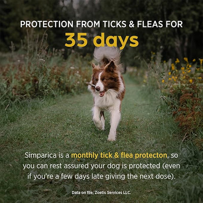 Simparica (sarolaner) Chewables for Dogs, 40 mg/tab, 22.1-44 lbs (Blue), 6 Tablets