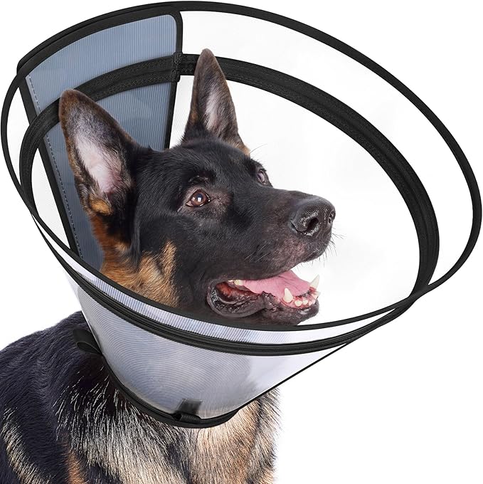 Dog Cone to Stop Licking, Clear Recovery Collar with Detachable Zipper, Sturdy Elizabethan Collar for Large Medium Small Dogs, Soft Adjustable Cone After Surgery Patented, Black XXL