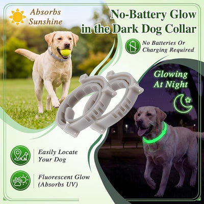 Flea and Tick Collar for Dogs with Natural Essential Oils, Glow in The Dark Dog Collars for Night Walking, Waterproof & Adjustable Flea and Tick Prevention for Dogs, Puppies, 2 Pack, Fluorescent Glow