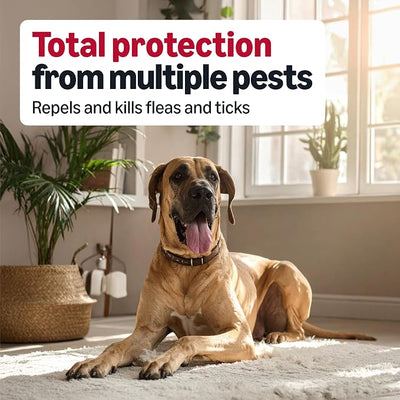 Amazon Basics Flea and Tick Topical Treatment and Prevention for Extra Large Dogs (89-132 lbs), Kills Fleas and Ticks, Waterproof, Monthly Application, 6 Count, Packaging May Vary