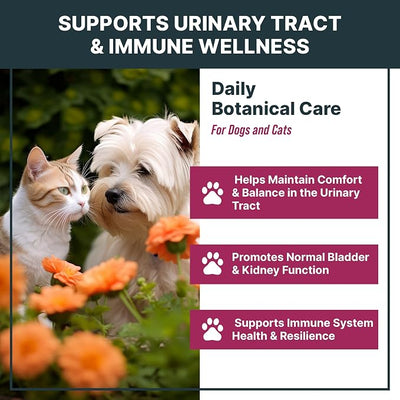 MaxBuddy Natural UTI Treatment Support - Cranberry Urinary Tract Infection Care & Prevention Assistance for Cats and Dogs – Kidney & Bladder Wellness Supplement Drops - Support for Urine Flow