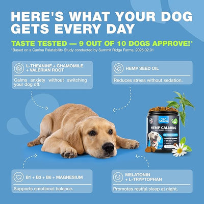 Hemp Calming Chews for Dogs Anxiety - Dog Calming Treats with Melatonin, Valerian Root, Chamomile Extract & Vitamin B Complex - Canine Chews for Vet Visits, Grooming, Travel, Thunderstorms, Fireworks