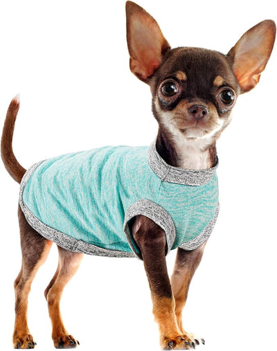 Chic Ion Polyester Dog Vest: Adorable Fashion Apparel for Small, Medium, and Large Breeds, Moisture-Wicking, Soft, Anti-Static, Durable, and Easy-to-Clean Design - Light Blue 2XL