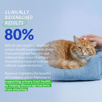 Cranberry for Cats Powder - UTI, Bladder Health & Incontinence | Cranberry powder for cats. Supports UTI relief, bladder health & urinary tract function. Helps with stones & incontinence.