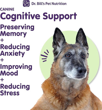 Dr. Bill’s Canine Cognitive Support Supplement for Adult, Senior & Elderly Dogs – Memory, Brain Function & Cognitive Health Support - Lion's Mane Mushrooms, DHA, Ginkgo & More