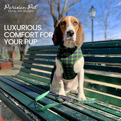 Parisian Pet Green Plaid Dog Harness - Breathable No Pull Puppy Harness with Leash Ring - Adjustable Harnesses for Dogs - Soft Padded Step-in Pet Vest - Lightweight Dog Vests for Medium Sized Dogs