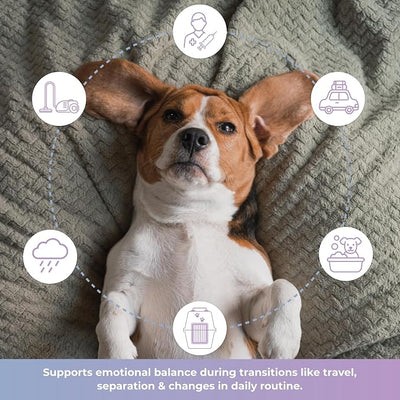 Tranquillium Calming Soft Chews for Dogs – Stress Support (30 Ct) | For stress & anxious behavior, Supports calm response, Non‑drowsy formula