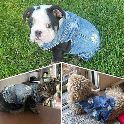Pet Clothes Vintage Denim Dog Jacket with Daisy Embroidery - Puppy Stylish Pet Coat for Chihuahua, Yorkie Small Breeds - All-Season Comfort (Blue,Large)