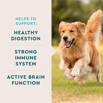 VetIQ Multivitamin Supplement for Dogs, Supports Active Brain Function, Immune System, and Digestive System, Hickory Smoke Flavored Dog Multivitamin, Made in the USA, 60 Count