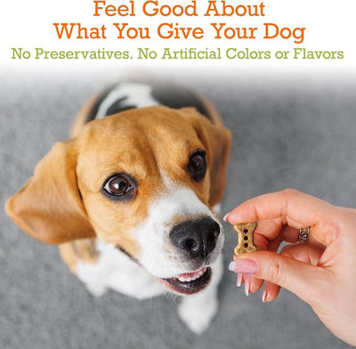Riley's Dog Biscuits - Organic & Crunchy Small Dog Treats for Training and Reward - All Natural Bone Biscuits Made in USA - 12oz, Peanut Butter