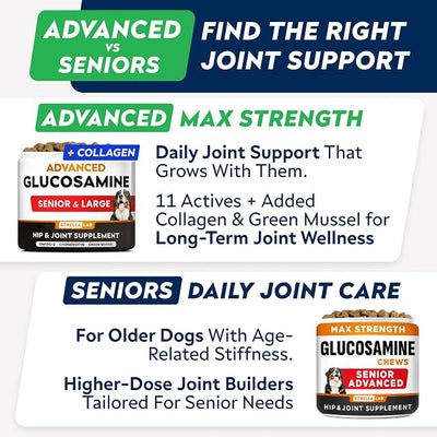STRELLALAB Advanced Glucosamine Hip & Joint Supplement for Senior Dogs & Horses - Green Lipped Mussel & Collagen - Hip & Joint Pain Relief - Large & Small Breed - Joint Health - 120 Chews