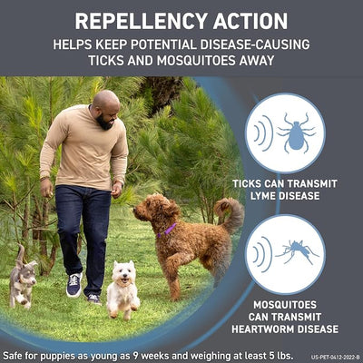 FRONTLINE Shield Flea & Tick Treatment for Large Dogs 41-80 lbs. Count of 6