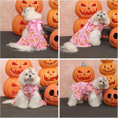 CuteBone Turtleneck Dog Velvet Dress Halloween Puppy Skirt Costume Pet Clothes Cat Apparel with Bow Hair Rope for Small Dogs CVD23XS