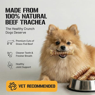 Dog Chits Beef Trachea Dog Chews - 100% Single Ingredient, High Protein, Low Fat - Glucosamine for Joint Support - Dental-Clean Crunch - Digestible Rawhide-Free, Natural Dog Chew Treats - 6inch, 8pack