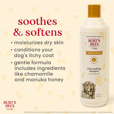BURT'S BEES FOR PETS Itch Relief Shampoo for Dogs, Manuka Honey & Chamomile, Soothes Itchy Skin, pH Balanced for Dogs & Puppies, Will Not Wash Off Flea Treatments, Fragrance-Free, 16 Fl Oz
