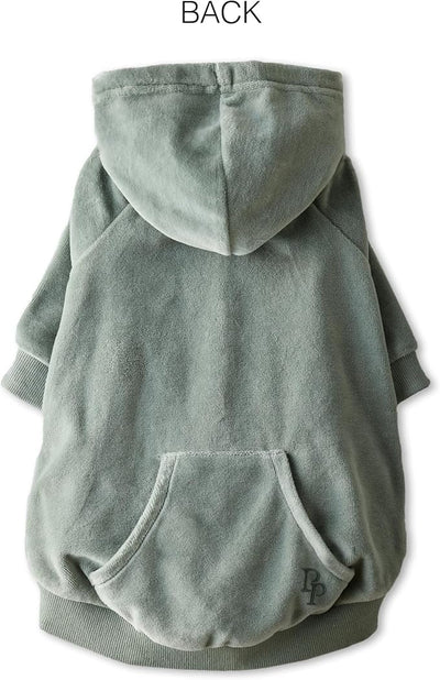 Pet Passion Cooper II Organic Cotton Velour Dog Hoodie Pet Coat for Small, Medium and Large Dogs, Sage, X-Small (5-12 lbs)