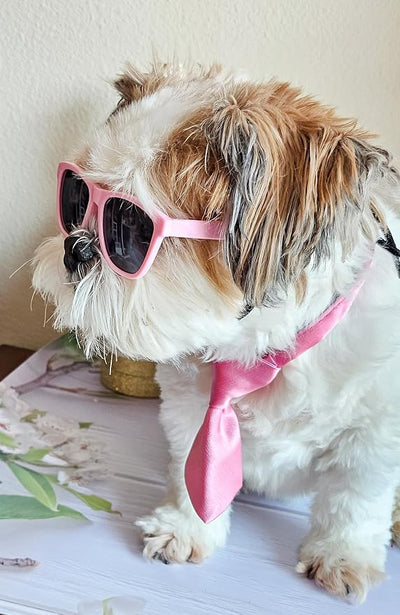 C26 Dog Pet Costume Set Retro Sunglasses + Tie Adjustable for Small Dogs up to 15 lbs Party Prop Cosplay Photoshoot (80s Pink Sunglasses +Pink Tie)