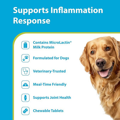PRN Pharmacal Duralactin Canine Chewable Tablets - Joint Health Supplement for Dogs & Puppies - Pet Mobility Support - Vanilla Flavored Chews - 180 Count