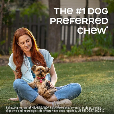 HEARTGARD® Plus (ivermectin/pyrantel) Real-Beef Chewables for Dogs 51 -100 lbs (Brown Box) 1 Month Supply of Chews (Heartworm Disease Preventive)