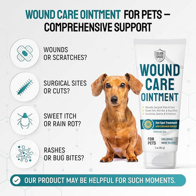 SILVER GRADE Dog Wound Care Ointment with Silver & Calendula for Scratches, Irritations, Bites – Feline & Canine Hot Spots Treatment in a Gel Form – Wound Antibiotic Ointment for Dogs & Cats – 2 Oz