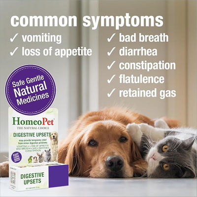 HomeoPet Digestive Upsets, Safe, Gentle, and Natural Dog and Cat Digestive Support, 15 Milliliters