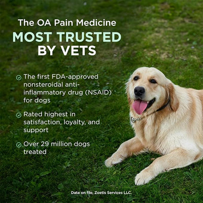 Rimadyl (carprofen) Chewables for Dogs, 25 mg, 180 Tablets