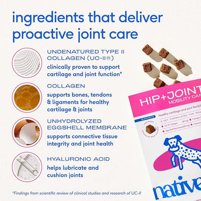 Native Pet Mobility Care - Hip & Joint Supplement for Dogs - UC-II Collagen, Egg Shell Membrane & Hyaluronic Acid - Dog Joint Supplement Chews Supports Cartilage, Mobility & Flexibility - 60 Chews